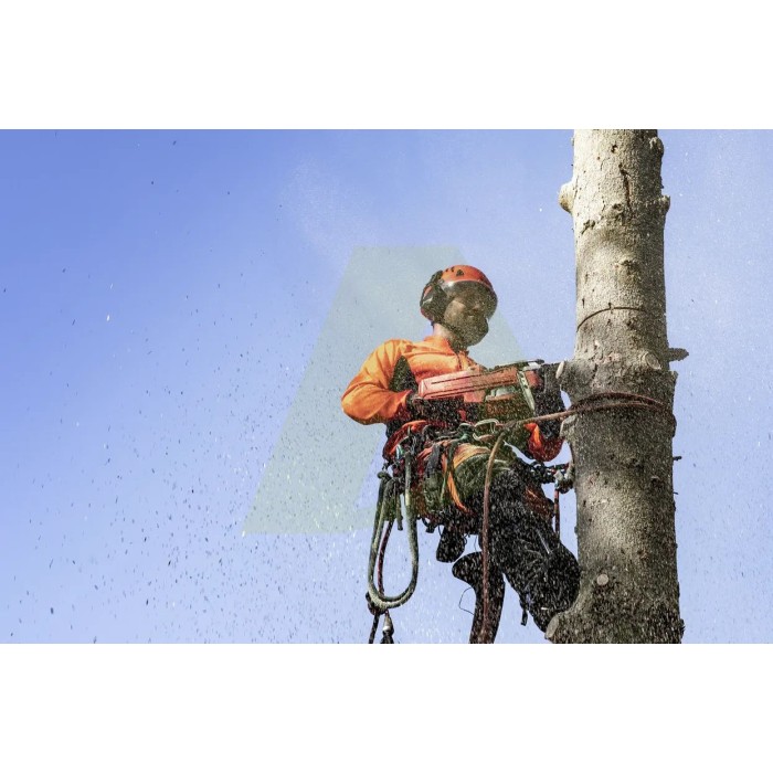 Бензопила Husqvarna 545 Mark II (9676906-35) Бензопила Husqvarna 545 Mark II (9676906-35)