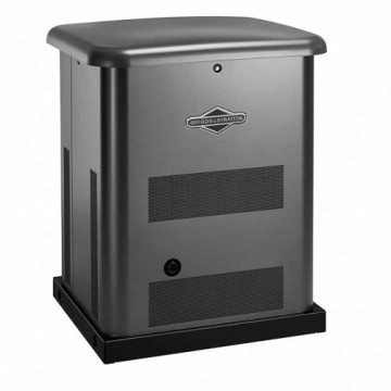 Генератор газовий BRIGGS & STRATTON 8000 50 Гц 8 кВт (040495)
