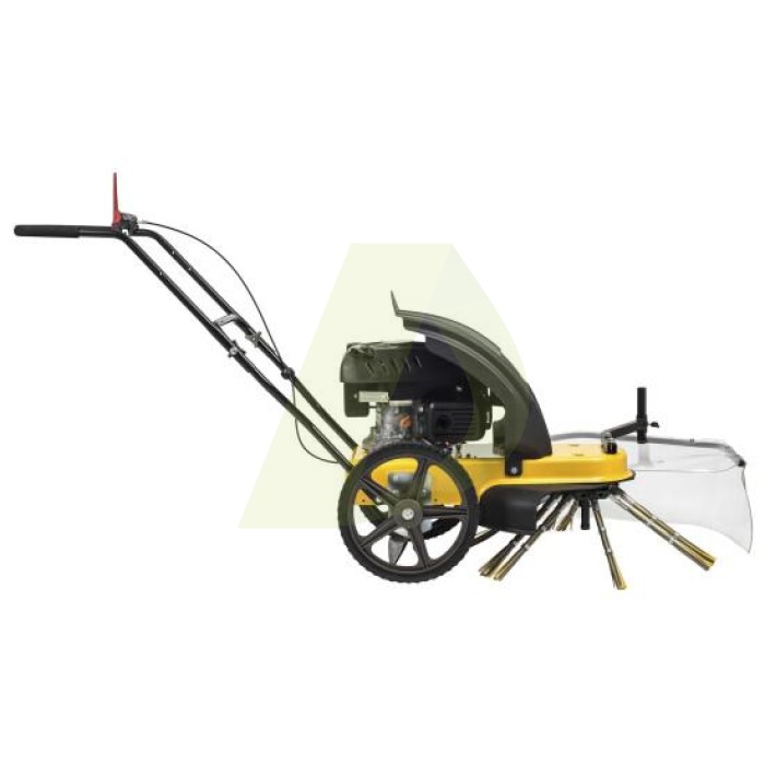 Машина для очистки брусчатки бензиновая TEXAS ProWeed 700 (90061106) Машина для очистки брусчатки бензиновая TEXAS ProWeed 700 (90061106)