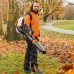 Воздуходув ранцевый STIHL BR 450 C-EF (42440111632)