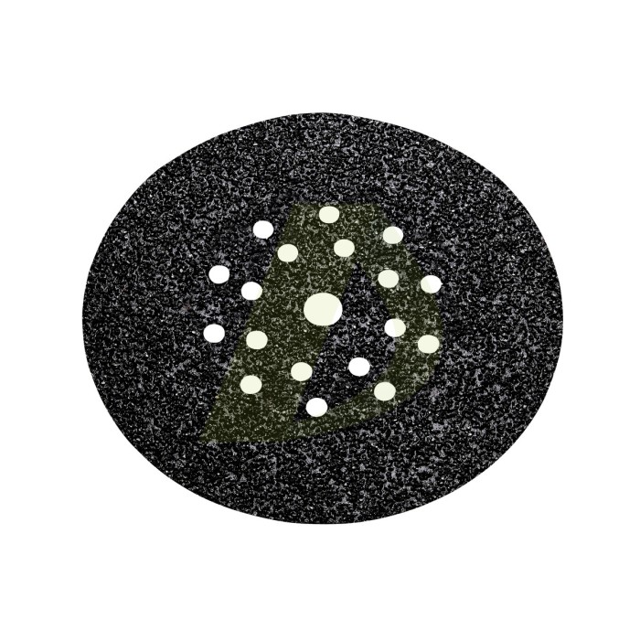 10 шлифовальных дисков на липучке 225 мм, P 16, карборунд, длинная шейка (626640000) 10 шлифовальных дисков на липучке 225 мм, P 16, карборунд, длинная шейка (626640000)