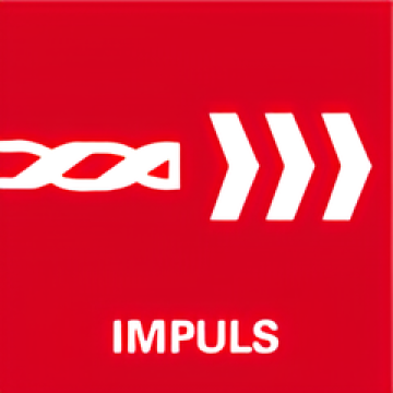 SBEV 1000-2 Ударний дриль