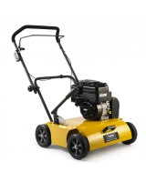 Аэратор бензиновый TEXAS ProCut 460B (90061109)