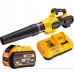 Аккумуляторный воздуходув DeWALT DCMBA572X1